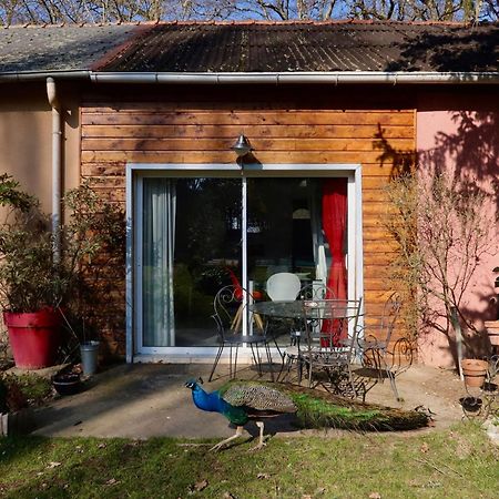 La Faisanderie Saint-Florent-sur-Cher Exterior foto